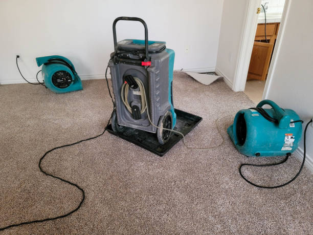 Best Residential water damage restoration  in Ellisville, MO