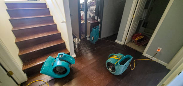 Best Commercial water damage restoration  in Ellisville, MO