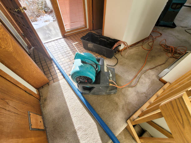 Best Water damage restoration near me  in Ellisville, MO