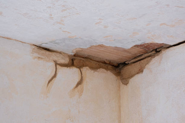 Best Water damage restoration cost  in Ellisville, MO