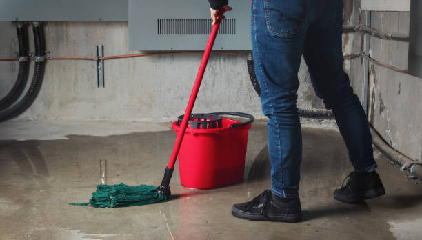 Best Water damage cleanup near me  in Ellisville, MO