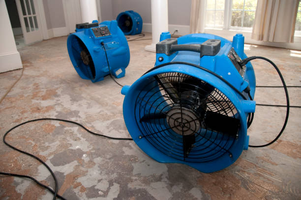 Trusted Ellisville, MO Water damage restoration Experts