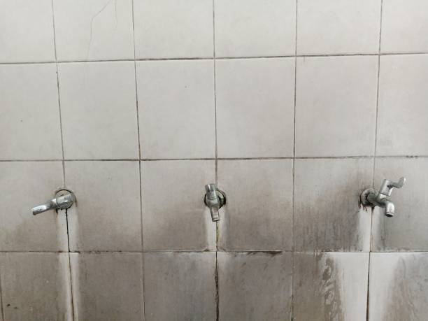 Best Commercial water damage restoration  in Ellisville, MO