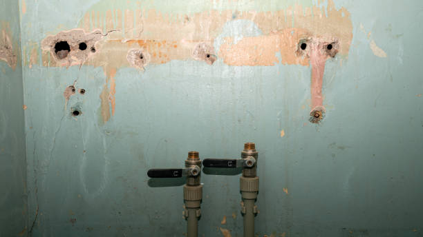 Best 24/7 water damage repair  in Ellisville, MO