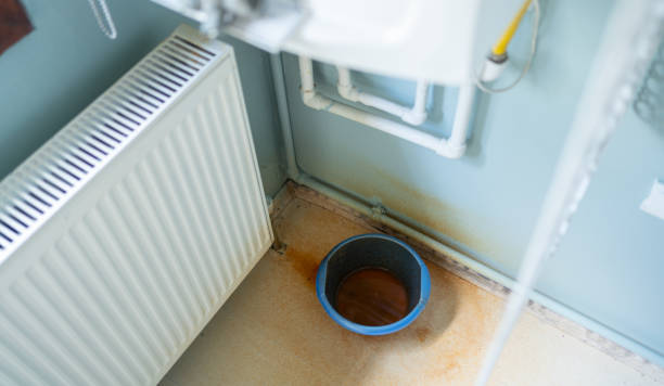 Best Water damage restoration services  in Ellisville, MO