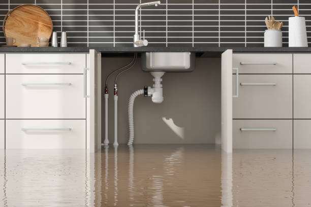Reliable Ellisville, MO Water damage restoration Solutions