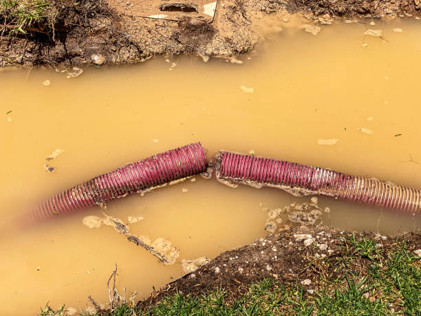 Water damage restoration insurance claims in Ellisville, MO